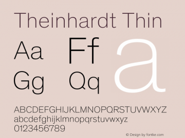 Theinhardt-Thin Version 4.003; build 0007图片样张