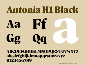 Antonia H1 Black Version 1.007图片样张