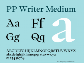 PP Writer Medium Version 1.000;FEAKit 1.0图片样张