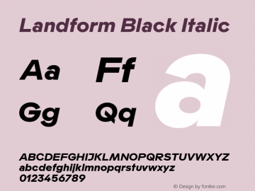 Landform Black Italic Version 1.000图片样张