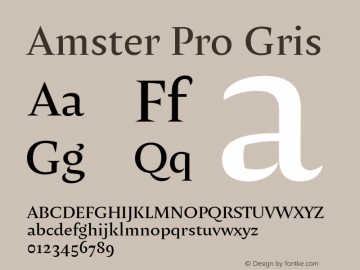 Amster Pro Gris Version 1.000;PS 001.000;hotconv 1.0.70;makeotf.lib2.5.58329图片样张