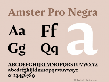 Amster Pro Negra Version 1.000;PS 001.000;hotconv 1.0.70;makeotf.lib2.5.58329图片样张