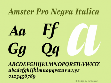 Amster Pro Negra Italica Version 1.000;PS 001.000;hotconv 1.0.70;makeotf.lib2.5.58329图片样张