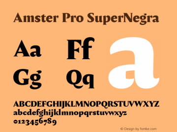 Amster Pro SuperNegra Version 1.000;PS 001.000;hotconv 1.0.70;makeotf.lib2.5.58329图片样张