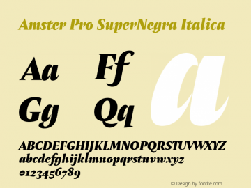 Amster Pro SuperNegra Italica Version 1.000;PS 001.000;hotconv 1.0.70;makeotf.lib2.5.58329图片样张