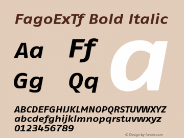 FagoExTf Bold Italic 001.000图片样张