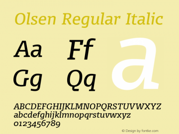 Olsen Regular Italic 004.301图片样张