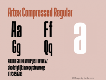 Artex Compressed Regular Version 1.005图片样张