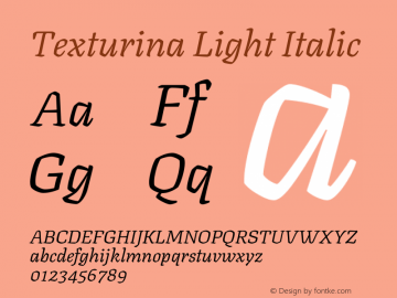 Texturina Light Italic Version 1.002图片样张