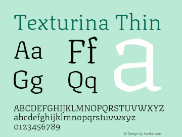 Texturina Thin Version 1.002图片样张