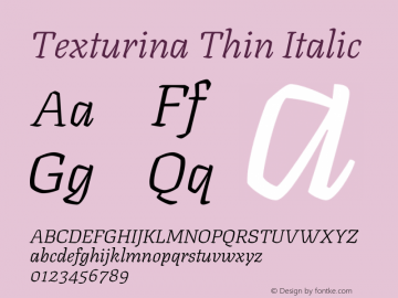 Texturina Thin Italic Version 1.002图片样张