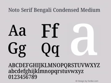 Noto Serif Bengali Condensed Medium Version 2.003图片样张