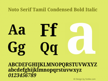 Noto Serif Tamil Condensed Bold Italic Version 2.003图片样张