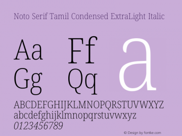 Noto Serif Tamil Condensed ExtraLight Italic Version 2.003图片样张