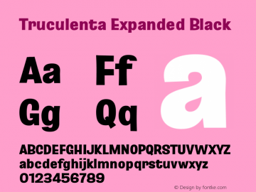 Truculenta Expanded Black Version 1.002图片样张