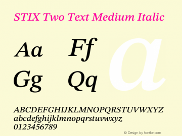 STIX Two Text Medium Italic Version 2.13 b171图片样张