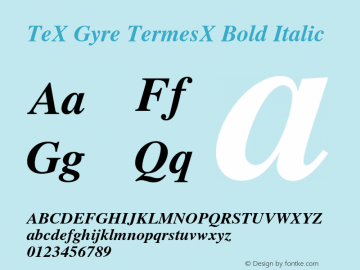 TeXGyreTermesX Bold Italic Version 2.004;PS 2.004;hotconv 1.0.49;makeotf.lib2.0.14853图片样张