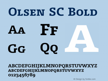 Olsen SC Bold 004.301 Font Sample