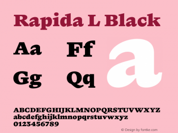 Rapida L Black Version 1.016图片样张