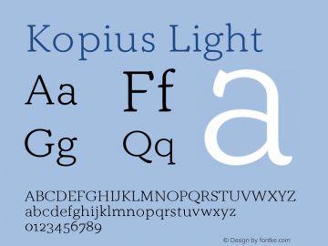 Kopius Light Version 1.001图片样张