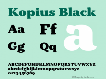 Kopius-Black Version 1.001图片样张