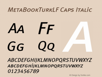 MetaBookTurkLF Caps Italic 001.000 Font Sample