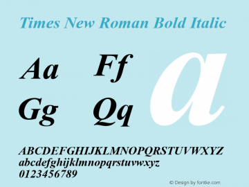 Times New Roman Bold Italic Version 7.03图片样张