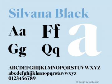 Silvana Black Version 1.000图片样张