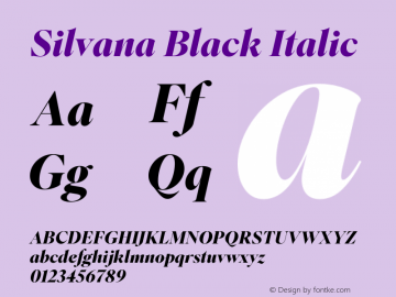 Silvana Black Italic Version 1.000图片样张