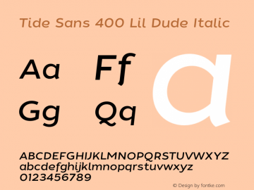 Tide Sans 400 Lil Dude Italic Version 1.000;PS 005.000;hotconv 1.0.70;makeotf.lib2.5.58329图片样张