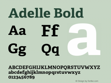 Adelle Bold Version 2.500;hotconv 1.0.109;makeotfexe 2.5.65596图片样张