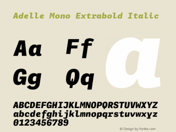 Adelle Mono Extrabold Italic Version 1.001;hotconv 1.0.114;makeotfexe 2.5.65599图片样张