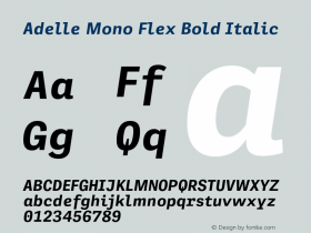 Adelle Mono Flex Bold Italic Version 1.001;hotconv 1.0.114;makeotfexe 2.5.65599图片样张