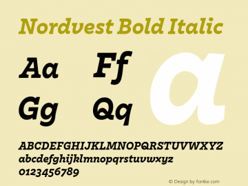 Nordvest Bold Italic Version 2.001;PS 1.000;hotconv 1.0.88;makeotf.lib2.5.647800图片样张