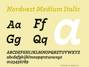 Nordvest Medium Italic Version 2.001;PS 1.000;hotconv 1.0.88;makeotf.lib2.5.647800图片样张