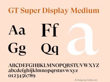 GT Super Display Medium Version 2.000;hotconv 1.0.109;makeotfexe 2.5.65596图片样张
