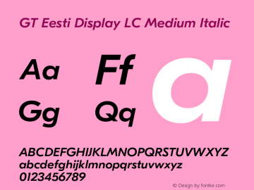 GT Eesti Display LC Medium Italic Version 1.005;hotconv 1.0.109;makeotfexe 2.5.65596图片样张