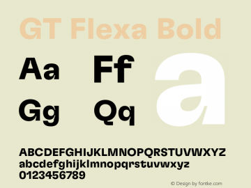 GT Flexa Bd Version 2.005;hotconv 1.0.109;makeotfexe 2.5.65596图片样张