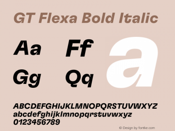GT Flexa Bd It Version 2.005;hotconv 1.0.109;makeotfexe 2.5.65596图片样张