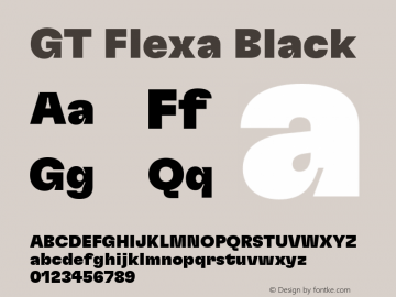 GT Flexa Bl Version 2.005;hotconv 1.0.109;makeotfexe 2.5.65596图片样张