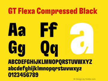 GT Flexa Cm Bl Version 2.005;hotconv 1.0.109;makeotfexe 2.5.65596图片样张