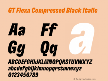 GT Flexa Cm Bl It Version 2.005;hotconv 1.0.109;makeotfexe 2.5.65596图片样张