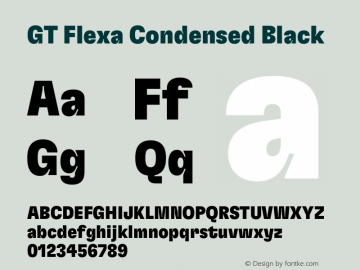 GT Flexa Cn Bl Version 2.005;hotconv 1.0.109;makeotfexe 2.5.65596图片样张