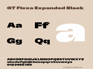 GT Flexa Exp Bl Version 2.005;hotconv 1.0.109;makeotfexe 2.5.65596图片样张