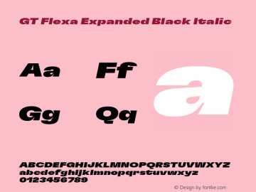 GT Flexa Exp Bl It Version 2.005;hotconv 1.0.109;makeotfexe 2.5.65596图片样张