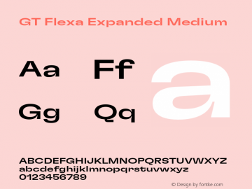 GT Flexa Exp Md Version 2.005;hotconv 1.0.109;makeotfexe 2.5.65596图片样张