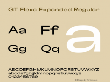 GT Flexa Exp Rg Version 2.005;hotconv 1.0.109;makeotfexe 2.5.65596图片样张