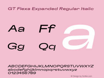 GT Flexa Exp Rg It Version 2.005;hotconv 1.0.109;makeotfexe 2.5.65596图片样张