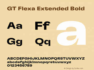 GT Flexa Ext Bd Version 2.005;hotconv 1.0.109;makeotfexe 2.5.65596图片样张