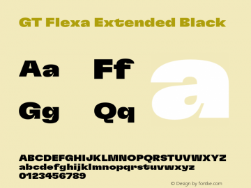 GT Flexa Ext Bl Version 2.005;hotconv 1.0.109;makeotfexe 2.5.65596图片样张